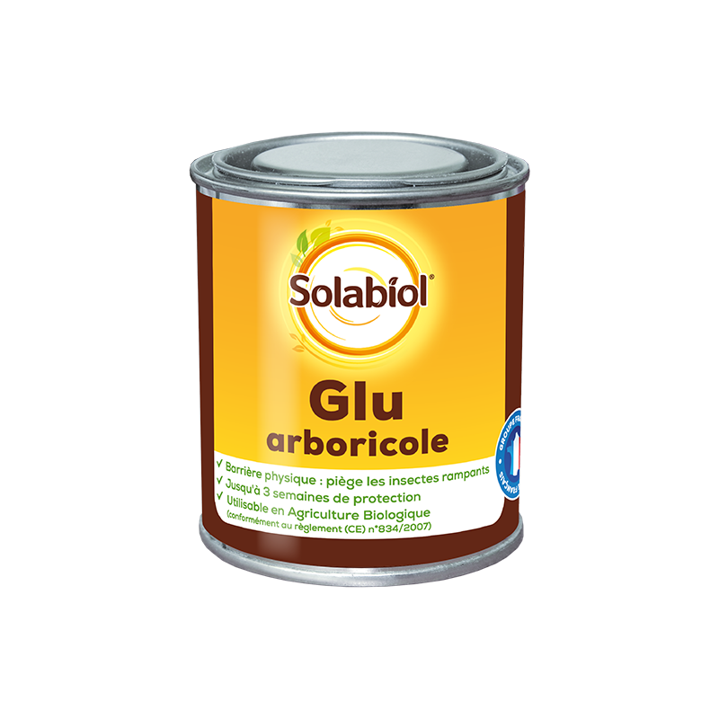 Glu arboricole
