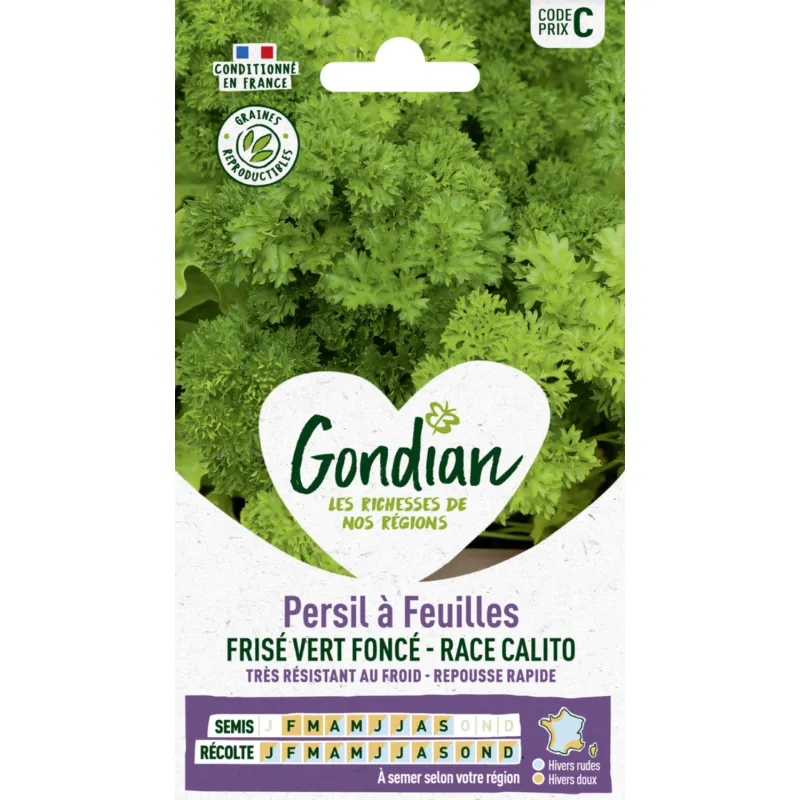 Persil à feuilles frisé vert - race Calito
