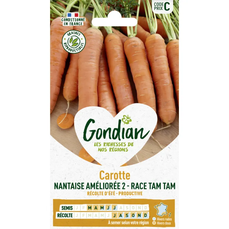 Carotte Nantaise améliorée 2 - race Tam Tam