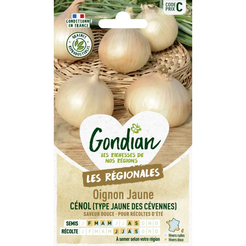 Oignon jaune cenol