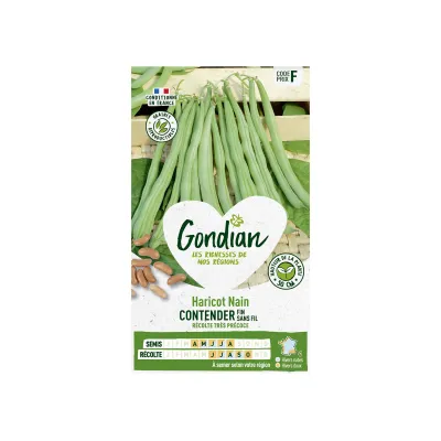 Haricot nain Contender fin sans fil