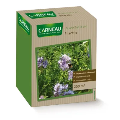 Phacélie 0,5 KG