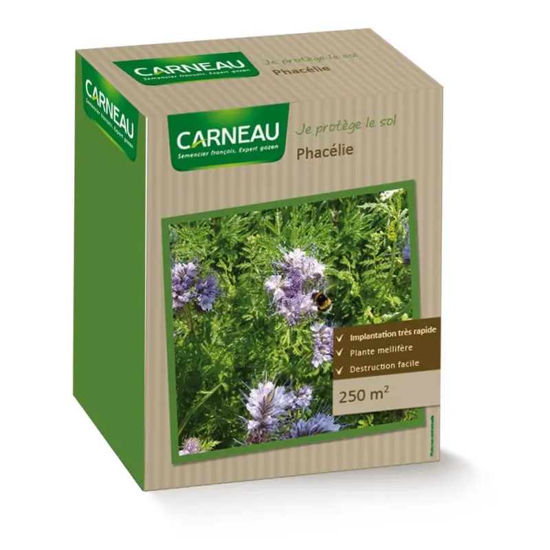 Phacélie 0,5 KG