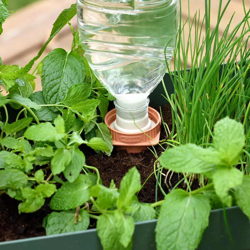 Aquasolo M