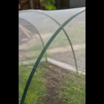 Voile Anti-insectes (1,60 x 5m)