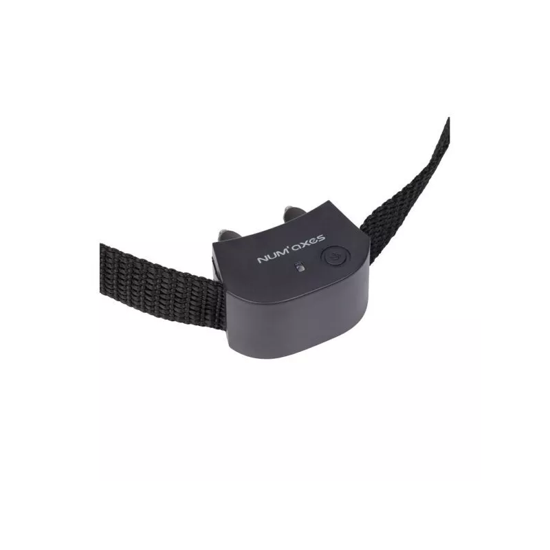 Collier seul CANIFUGUE SMALL
