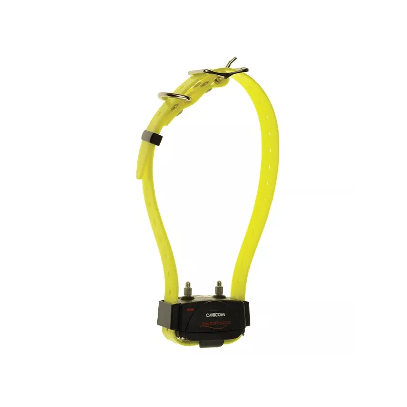 Collier seul CANICOM avec sangle