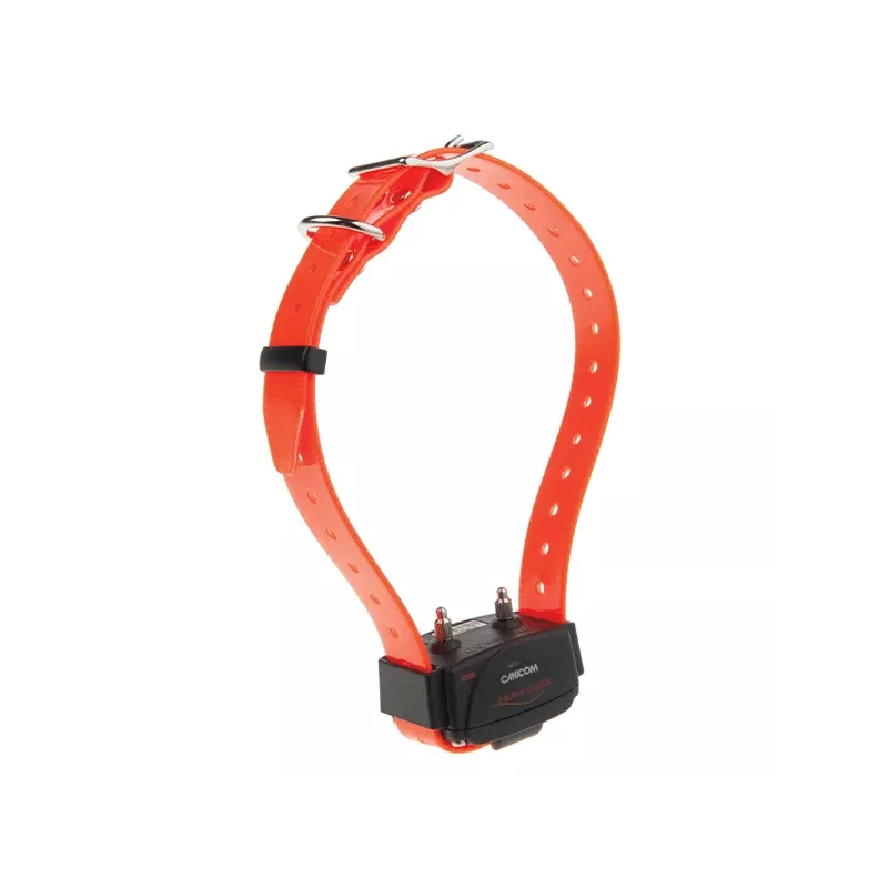 Collier seul CANICOM avec sangle