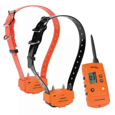 PACK de dressage CANICOM 1000 ORANGE POUR 2 CHIENS