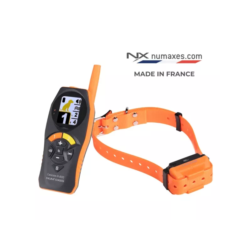 Ensemble de dressage rechargeable CANICOM R-800