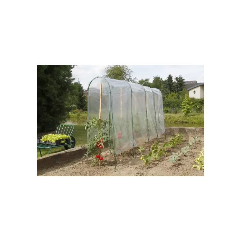 Film de forçage tunnel tomates LDPE 50 microns