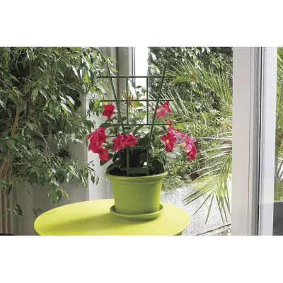 Tuteur échelle plastique pour plantes en pots