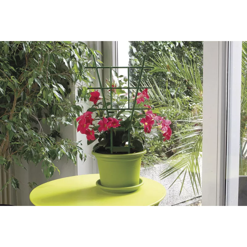 Tuteur échelle plastique pour plantes en pots