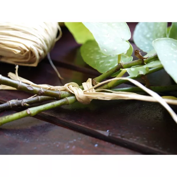 Engrais arbres fruitiers 1.8Kg