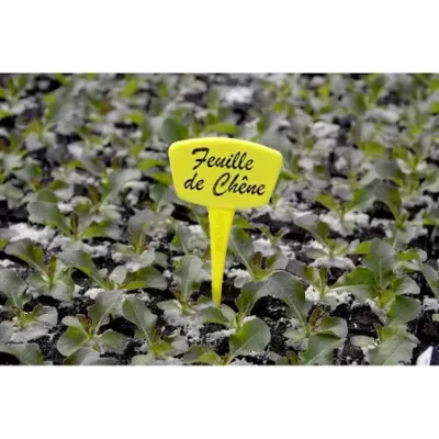 10 étiquettes à planter