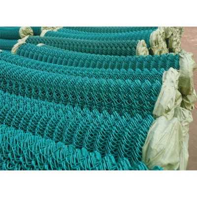 Rouleau grillage maille 2m x 10m - 3