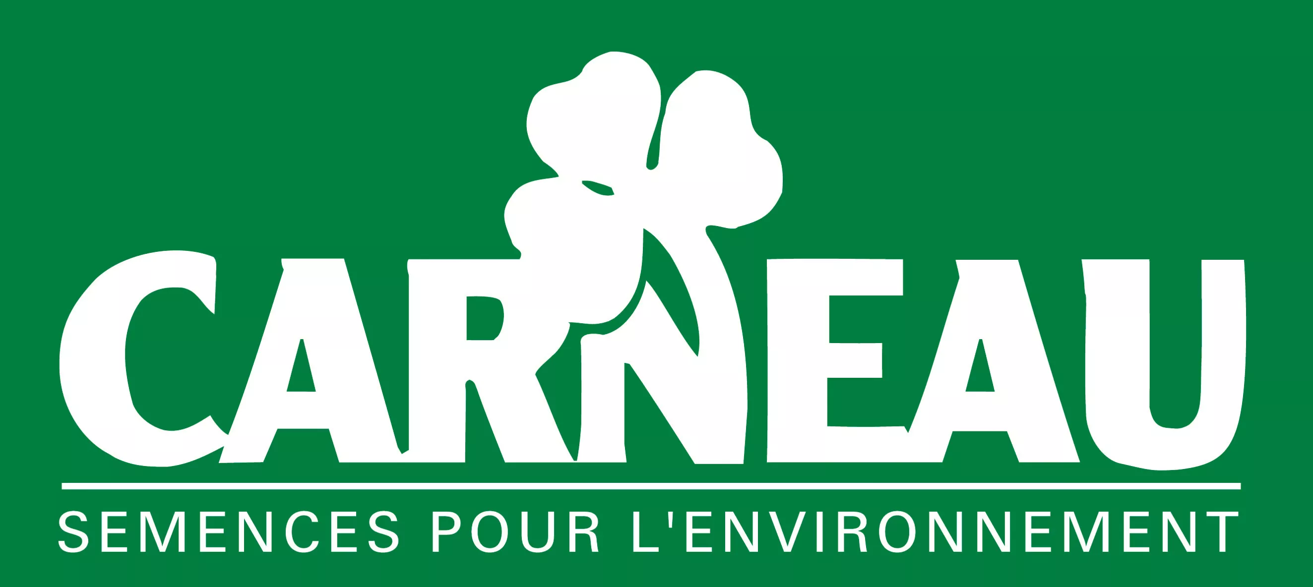Carneau